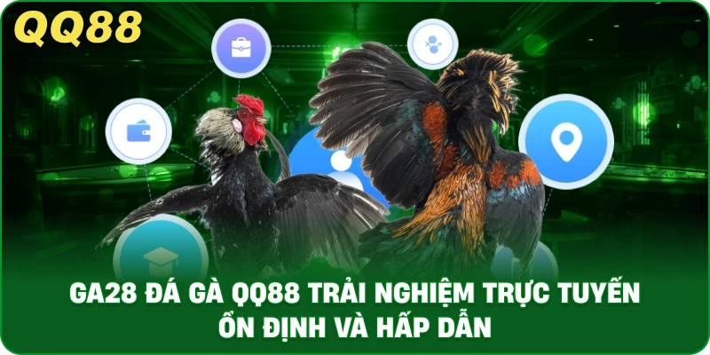 Đá Gà QQ88 – Trải Nghiệm Đá Gà Online Ổn Định Và Minh Bạch - gamulo.icu