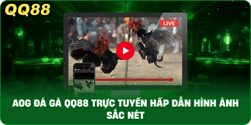 AOG Đá Gà – Trải Nghiệm Trực Tiếp Đá Gà Ổn Định Tại QQ88 - gamulo.icu