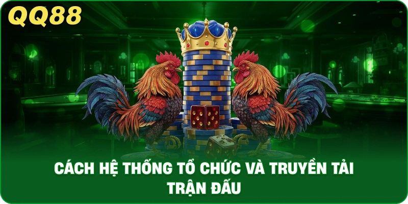 Đá Gà QQ88 – Trải Nghiệm Đá Gà Online Ổn Định Và Minh Bạch - gamulo.icu