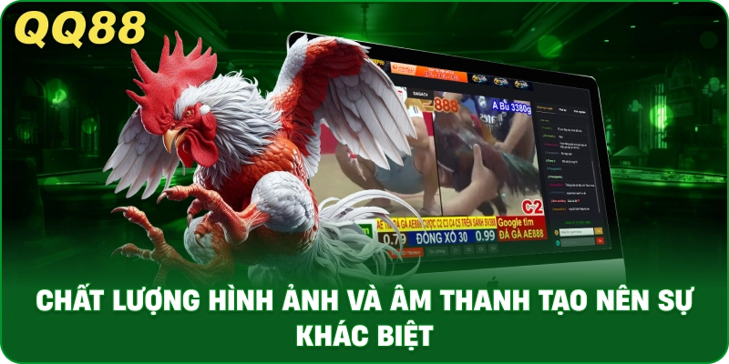 AOG Đá Gà – Trải Nghiệm Trực Tiếp Đá Gà Ổn Định Tại QQ88 - gamulo.icu