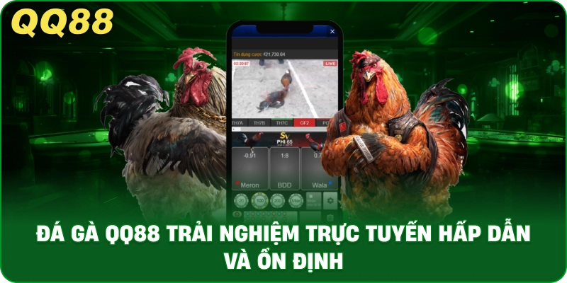 Đá Gà QQ88 – Trải Nghiệm Đá Gà Online Ổn Định Và Minh Bạch - gamulo.icu