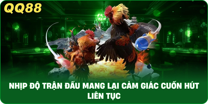 AOG Đá Gà – Trải Nghiệm Trực Tiếp Đá Gà Ổn Định Tại QQ88 - gamulo.icu