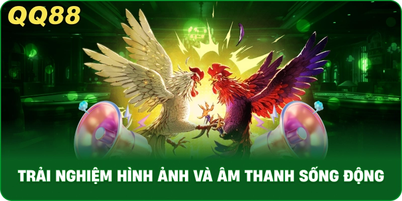 WS168 Đá Gà – Trải Nghiệm Cược Trực Tiếp Hệ Thống QQ88 - gamulo.icu