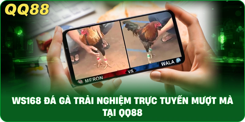 WS168 Đá Gà – Trải Nghiệm Cược Trực Tiếp Hệ Thống QQ88 - gamulo.icu